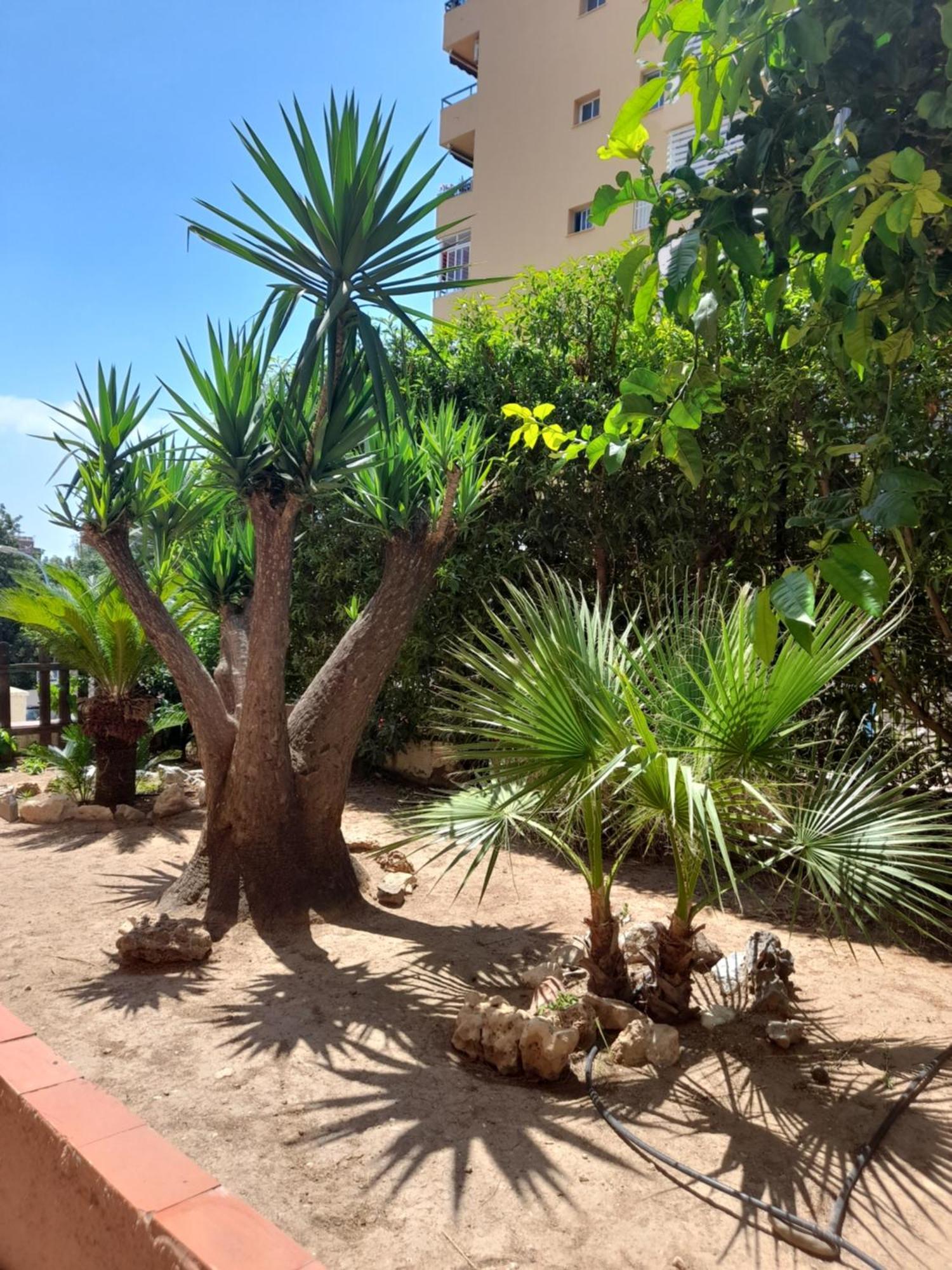 Ferienwohnung Torremolinos Centro Beach Exterior foto